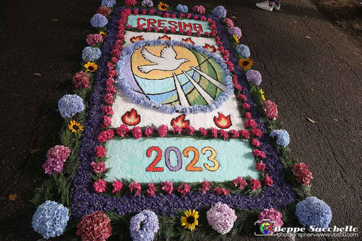 VBS_9589 - Infiorata di Villanova d'Asti 2023.jpg